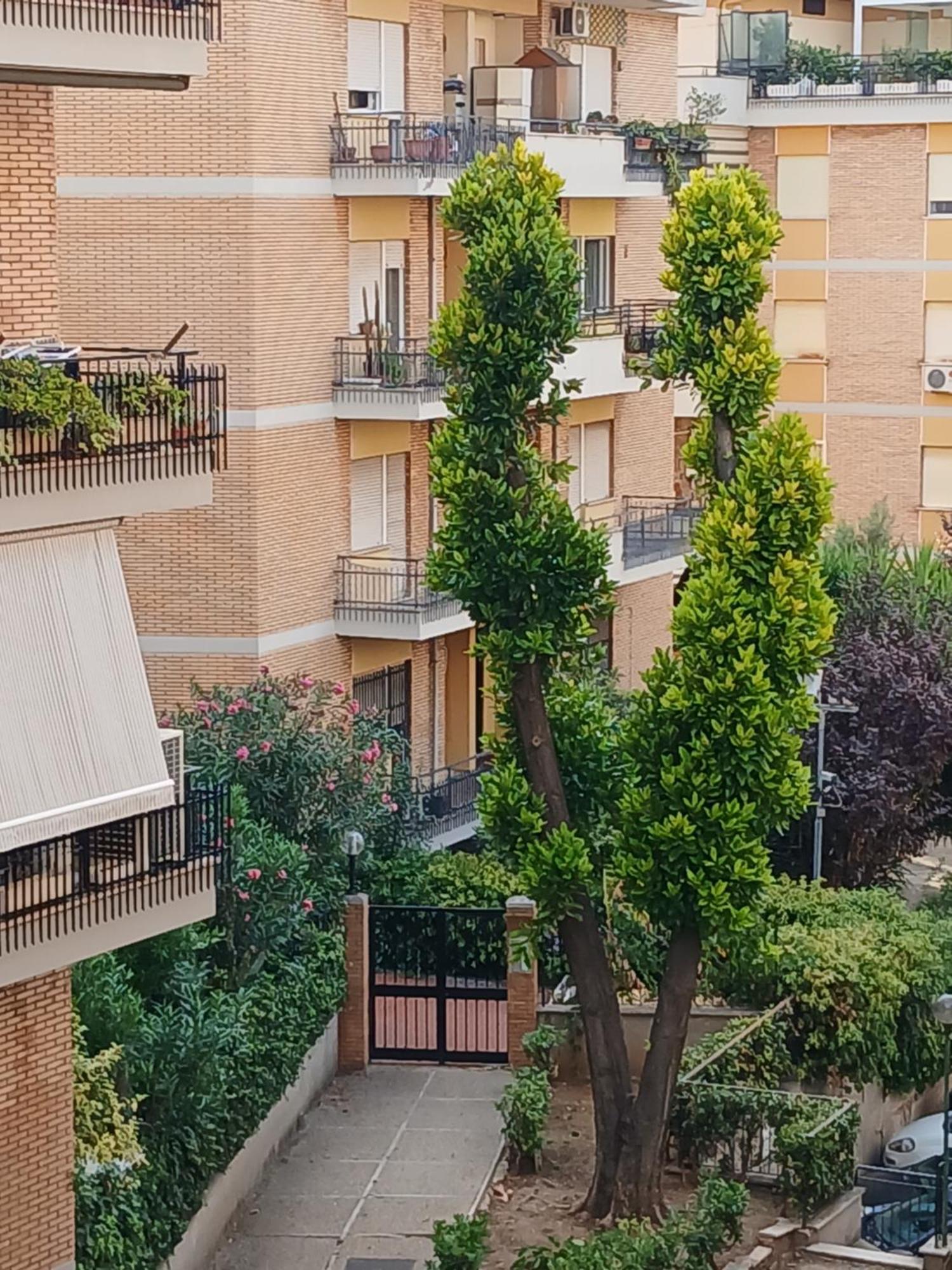 La Casa Di Antonella E Giuseppe Leilighet Roma Eksteriør bilde